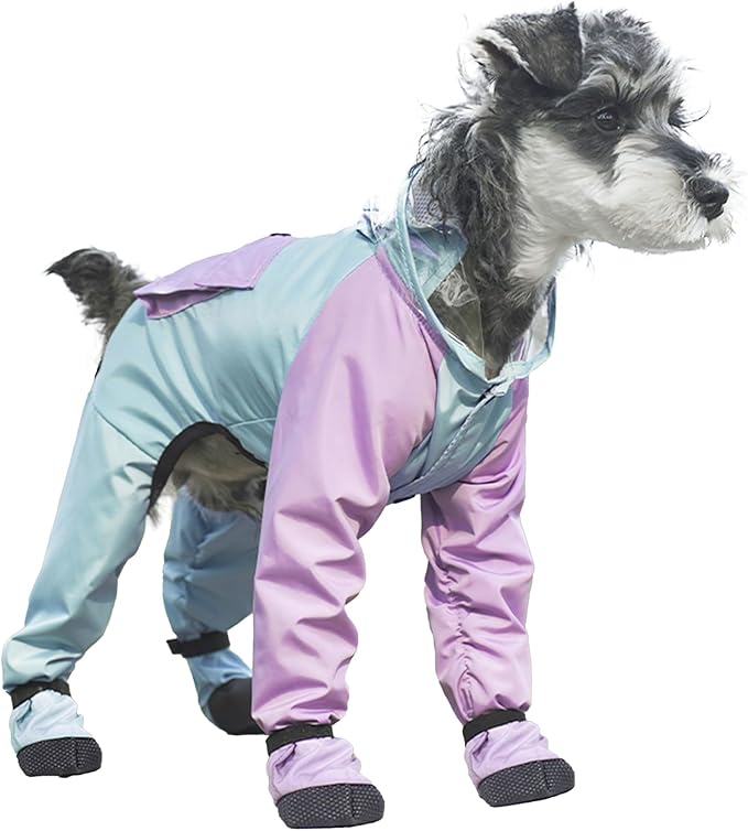 Dog Raincoat with Transparent Hood, Waterproof Jacket for Small Dogs with Snap-Button Chest, Leash Hole & Hook-and-Loop Cuffs Sleeves, Back Pocket for Treats (Blue, Medium)