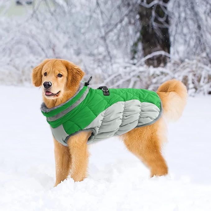 LeLePet Warm Dog Winter Coat, Waterproof, Fleece, Green, X-Small, Turtle Neck, Adjustable, Windproof, for All Breed Sizes