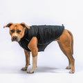 Spark Paws Dog Winter Jacket, Water-Resistant Coat, Warm Reflective Windproof Fleece-Interior, for Medium and Large Dogs - Black - 4XL
