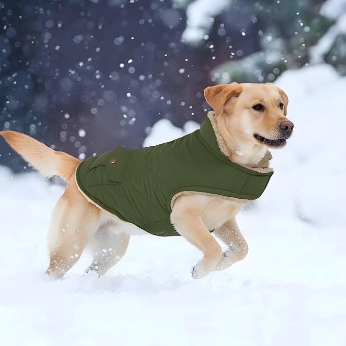 ASENKU Warm Dog Winter Coat, Waterproof Dog Coat for Cold Weather, Fleece Dogs Jacket with Ultra Thick Plush Lining Leash Hole Storage Pockets for Small Dogs (Green, X-Small)
