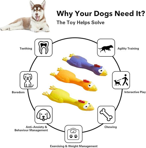 3 PCS Latex Chicken Squeak Toy for Pets - Exciting Chew & Dental Care Fun - Perfect for Playful Molar Exercise