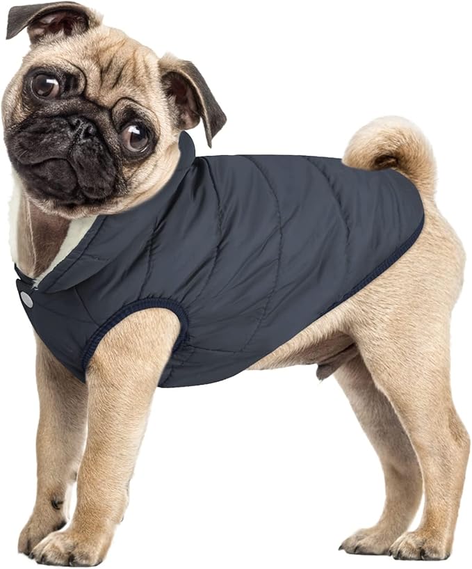 ASENKU Dog Winter Coat - Waterproof Windproof Dog Jacket, Warm Snowproof Doggie Puffer Vest for Cold Weather, Lightweight Snow Coats for Small Medium Large Dogs(L, Blue)