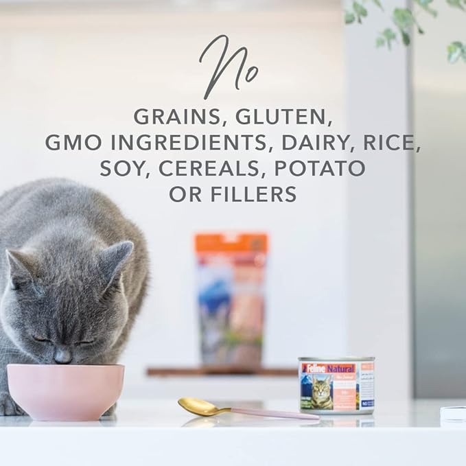 Feline Natural New Zealand Canned Catfood Wet Food, High-Meat, Low-Carb, & Grain Free Cat Food Wet, Beef & Hoki Feast, 6 oz, Pack of 12