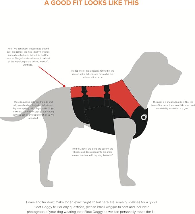 Stunt Puppy Float Doggy Life Jacket, Ergonomic Dog Life Vest for Swimming, Patented Design for Secure Fit, Small, Mango