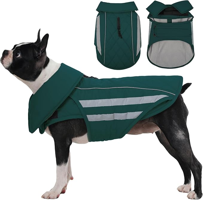 IECOii Large Dog Coat - Waterproof & Windproof Snow Jacket for French Bulldog & Corgi, Adjustable & Reflective Warm Coats with Fleece Lining for Walking, Camping, Hiking, Green, Sizes L