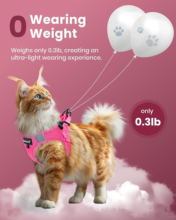 FAYOGOO Cat Harness and Leash Set | Upgrade Step-in Escape Proof Harness | Lightweight Soft Vest, No-Choke Design for Walking, Travel, Camping (Pink)