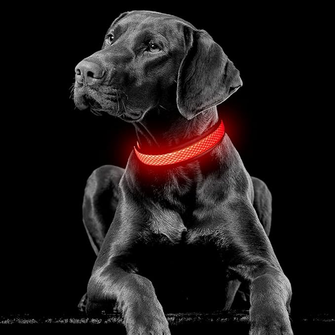 YFbrite Light up Dog Collar, USB Rechargeable LED Puppy Collar Super Bright Adjustable Glowing Dog Lights for Night Walking (Red, Large)