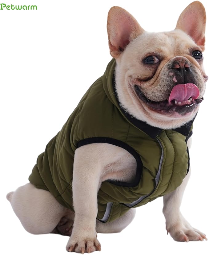 PetWarm Reversible Dog Winter Coat, Windproof Dog Puffer Vest, Soft Vest for Dogs with Hook-and-Loop Strap for Easy Dressing, Waterproof Coat for Dogs with Adjustable Fit, Green, XL