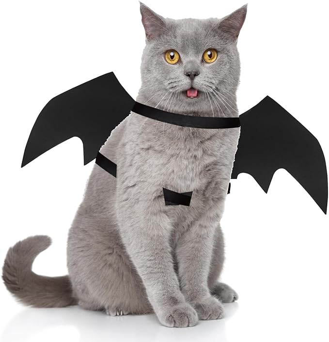 Pet Cat Bat Wings for Halloween Party Decoration, Dog Cosplay Bat Costume,Puppy and Cat Dress Up Accessories (Black, Medium)