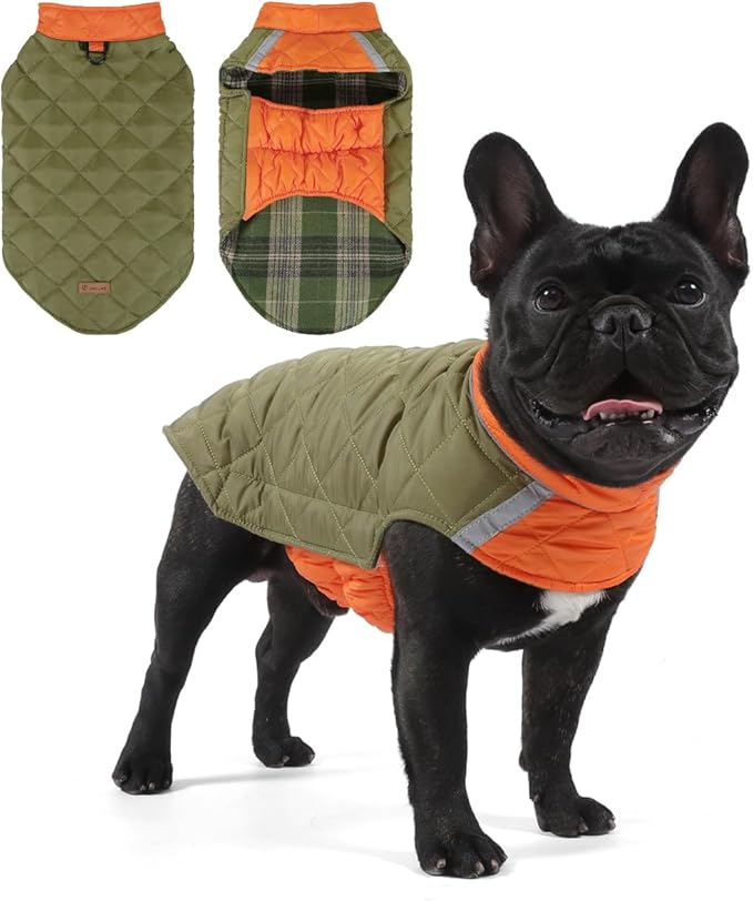 Reversible Waterproof Dog Coat - Adjustable Winter Jacket for Small to Large Breeds, Warm Cold Weather Apparel for Medium Dogs (Army Green & Orange, Large (Pack of 1))