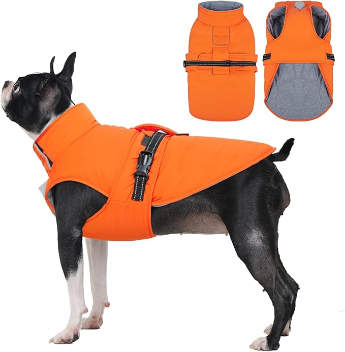 IECOii Coats for Dogs - Reflective, Adjustable & Windproof, Dachshund Jacket for Winter, Fall, and Spring, Waterproof & Cozy Fleece Lined Snow Vest with Easy-On Buckles, Orange, Size M