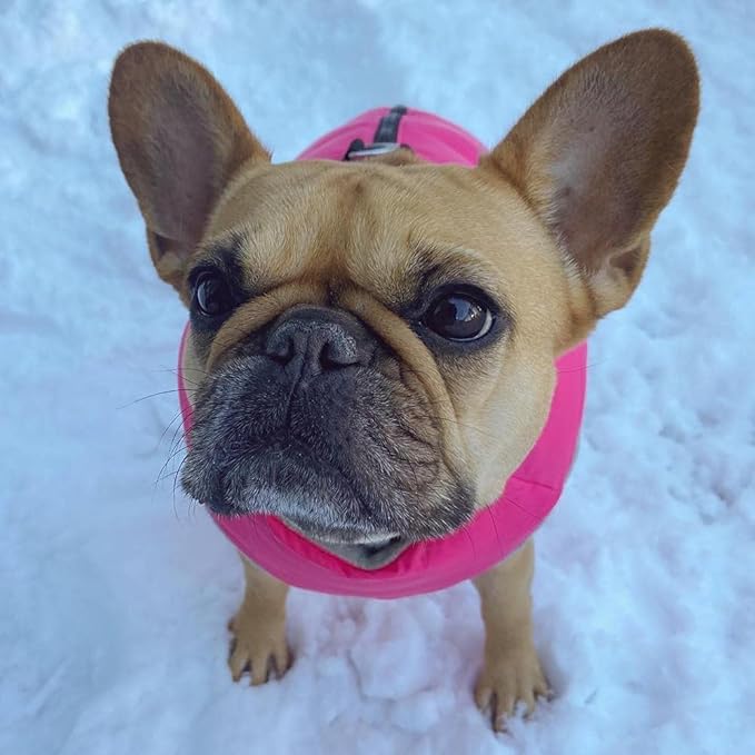 Gooby Padded Vest Dog Jacket - Solid Pink, Large - Warm Zip Up Vest Fleece Jacket with Dual D Ring Leash Water Resistant for Small to Medium Dogs