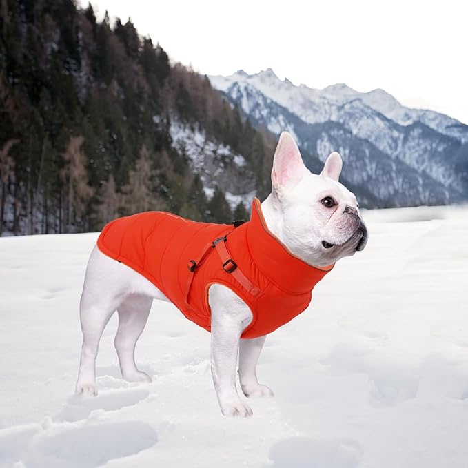 Geyecete Winter Warm Coat Waterproof Dog Winter Jacket with Harness Traction Belt,Windproof Pet Outdoor Jacket Dog Autumn-Orange-XL
