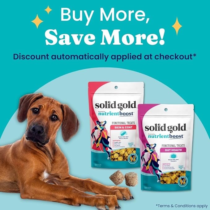 Solid Gold Healthy Dog Treats - Functional Peanut Butter Dog Treats w/Salmon Oil & Superfoods for Skin & Coat + Gut Health - Gluten Free Healthy Training Treat for Dogs of All Ages & Sizes - 5.2oz