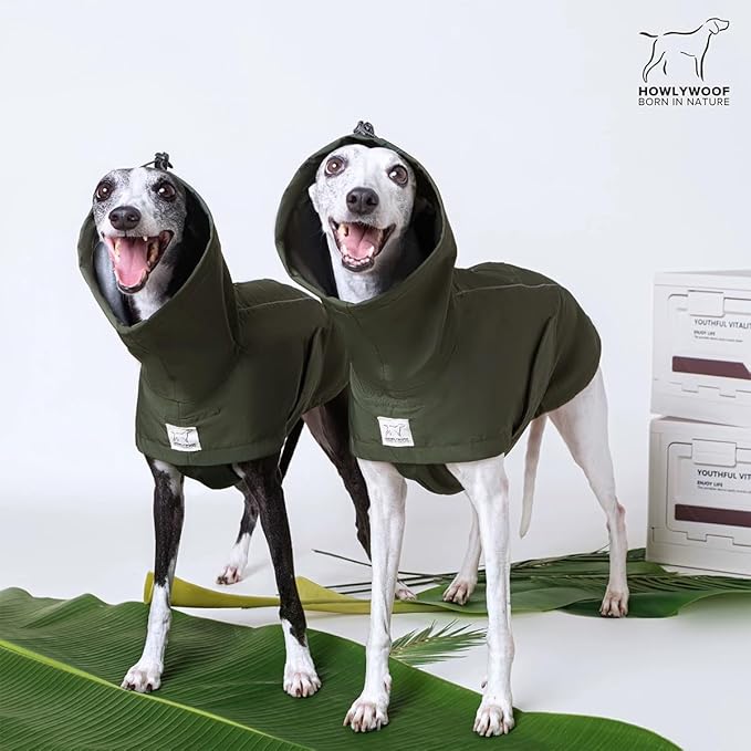 Waterproof Dog Raincoat, Hooded Raincoat for Dachshund Whippet Small Medium Large Dogs, Adjustable Dog Rain Coat Jacket (02 (Dachshund 10-16lbs))