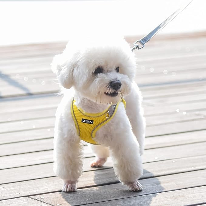 AIITLE Escape Proof Dog Harness - Step in Adjustable Puppy Vest No Choke Over with Breathable Mesh and Quick-Release Buckle for Summer- Outdoor Walking, Camping, Training for Medium Dogs Yellow XL