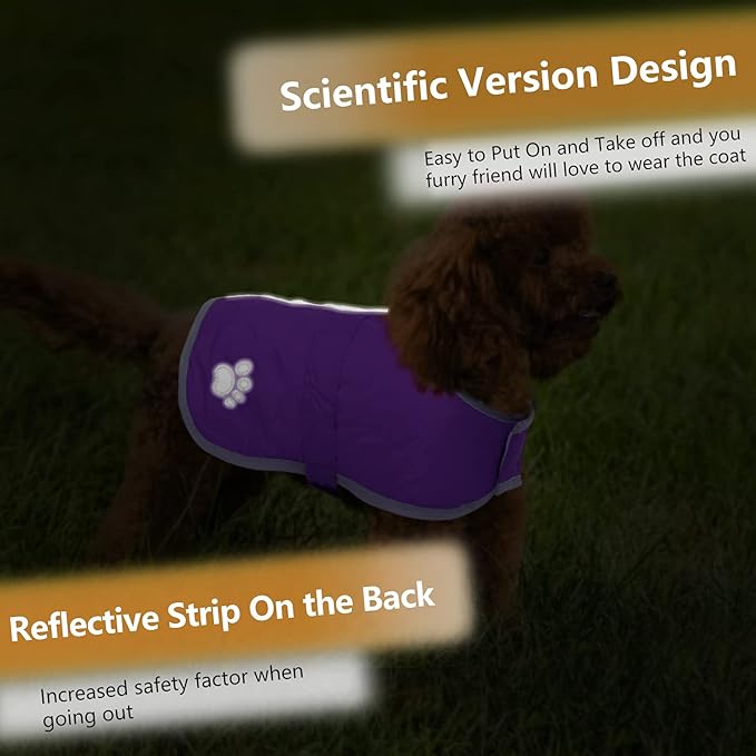 Queenmore Dog Winter Coat, Cold Weather Fleece Jacket for Dogs, Waterproof Reflective Reversible, for Small, Medium and Large Dogs (Purple, XS)