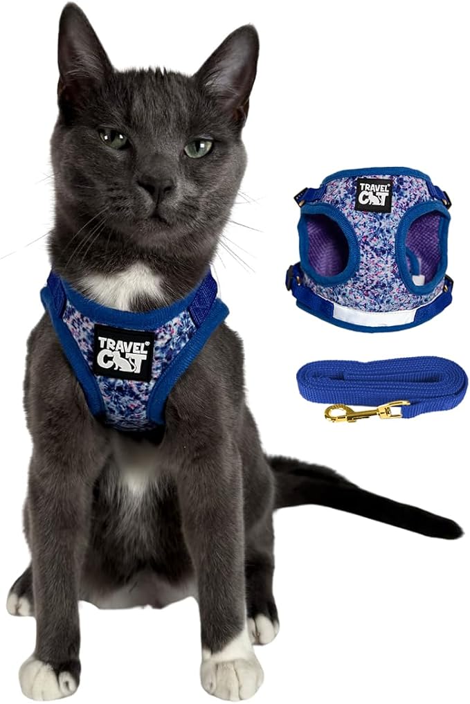 Travel Cat Harness and Leash Set - Adjustable Fit Mesh Cat Harness and Reflective Strap - Comfort Walking Vest for Kitten for Outdoor Walking, Hiking (Extra Small, Groovy)