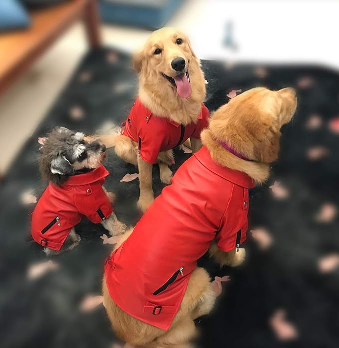 Lovelonglong Cool Dog Leather Jacket, Warm Coats Dogs Windproof Cold Weather Coats for Large Medium Small Dogs, Yorkshire Terrier Clothing Red S