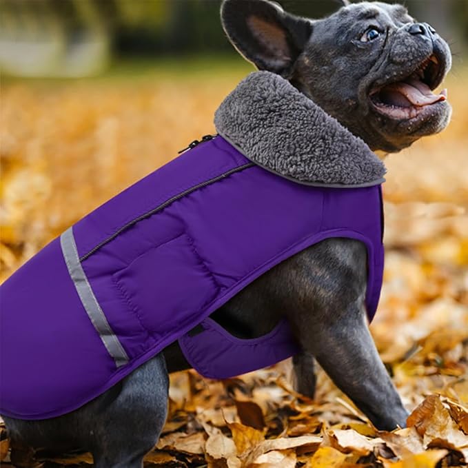 Doglay Dog Coat, Waterproof Dog Jacket Pet Winter Coat for Cold Weather with Thicken Furry Collar, Reflective Puppy Winter Jacket Warm Fleece Lining for Small Medium Large Pets