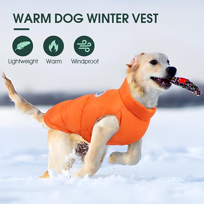 Kuoser Dog Coat Warm Dog Puffer Jacket, Windproof Dogs Padded Vest Lightweight Cold Weather Coats Pet Snowsuit Soft Puppy Winter Clothes for Medium Large Dogs, Button Design, Easy On/Off, Orange L