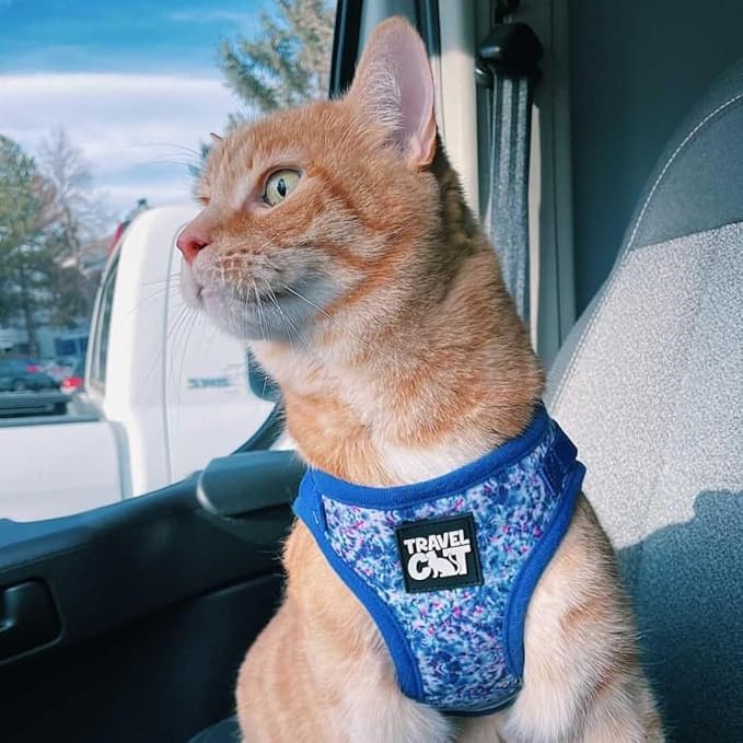 Travel Cat Harness and Leash Set - Adjustable Fit Mesh Cat Harness and Reflective Strap - Comfort Walking Vest for Kitten for Outdoor Walking, Hiking (Medium, Groovy)