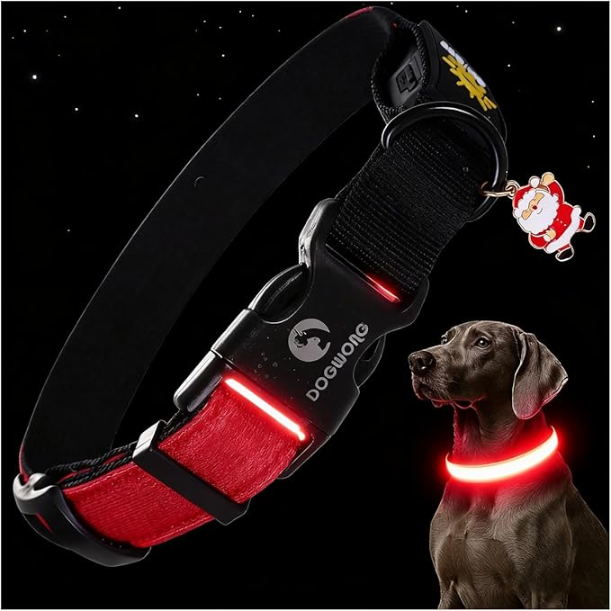 DOGWONG LED Dog Collar - Heavy Duty Light up Collars - Rechargeable Waterproof - Lighted Dog Collar for Night Walking, Hiking, Camping(Red,S)