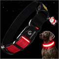 DOGWONG LED Dog Collar - Heavy Duty Light up Collars - Rechargeable Waterproof - Lighted Dog Collar for Night Walking, Hiking, Camping(Red,L)