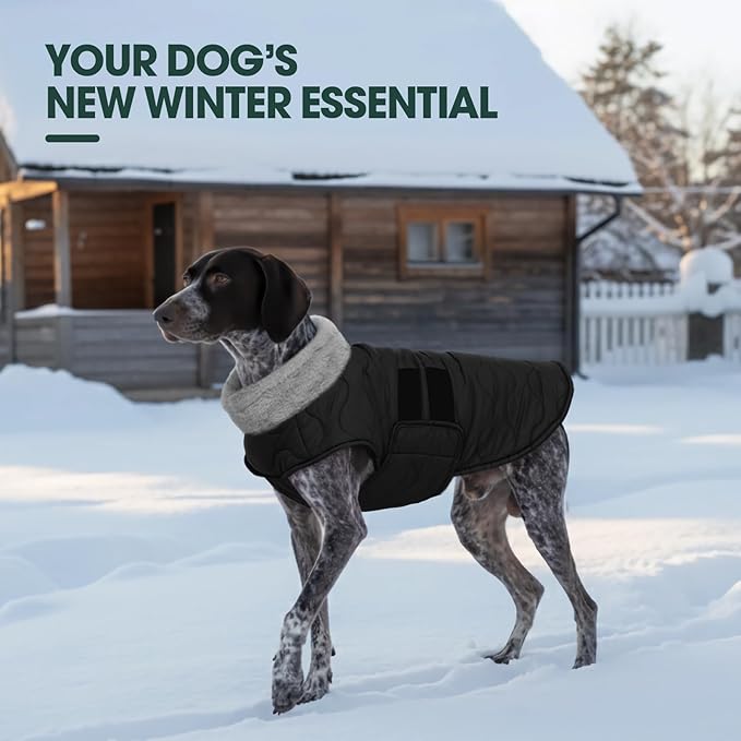 Kuoser Large Dog Coat, Winter Waterproof Dog Jackets for Large Dogs, Doggie Vest with Leash Hole, Cold Weather Coats Pet Snow Jacket for Labrador Beagle, Black XXL
