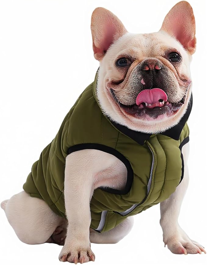 PetWarm Reversible Dog Winter Coat, Windproof Dog Puffer Vest, Soft Vest for Dogs with Hook-and-Loop Strap for Easy Dressing, Waterproof Coat for Dogs with Adjustable Fit, Green, XL