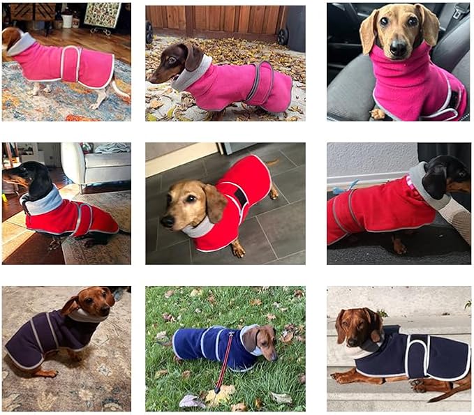 Geyecete Dachshund Sweaters for Dogs, Dachshund Coat Perfect Winter Coat with Padded Fleece Lining and High Collar, Dog Snowsuit with Adjustable Bands - Green - S