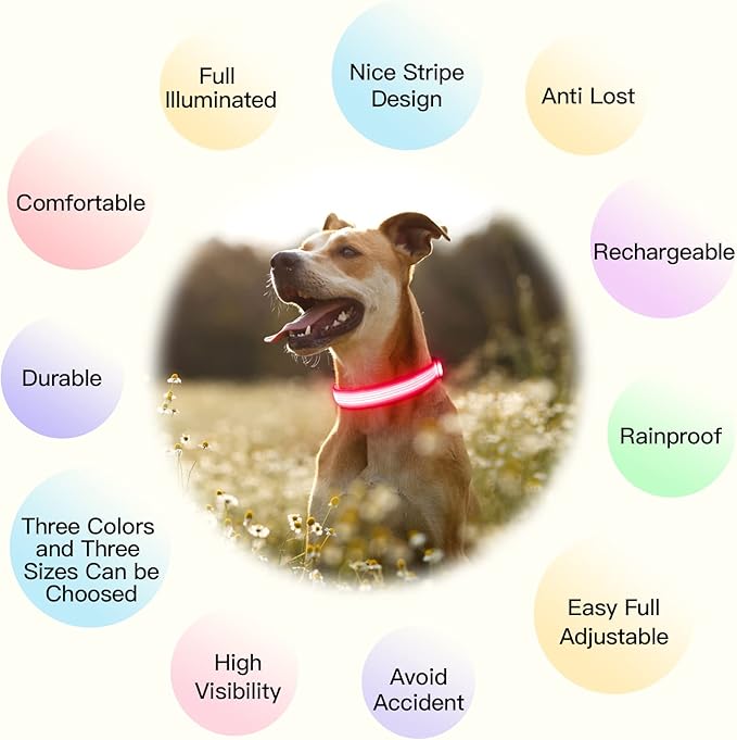 YFbrite Light up Dog Collar, USB Rechargeable LED Puppy Collar Super Bright Adjustable Glowing Dog Lights for Night Walking (Design 2- Pink, Medium)