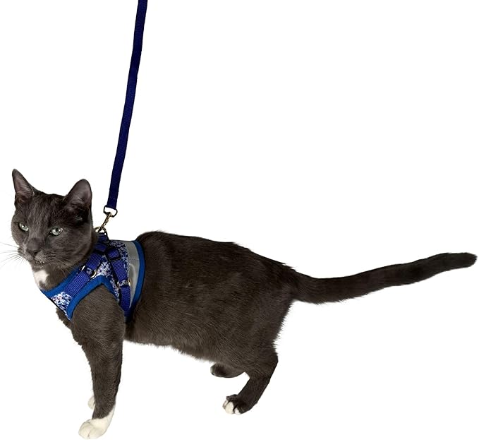 Travel Cat Harness and Leash Set - Adjustable Fit Mesh Cat Harness and Reflective Strap - Comfort Walking Vest for Kitten for Outdoor Walking, Hiking (Extra Small, Groovy)