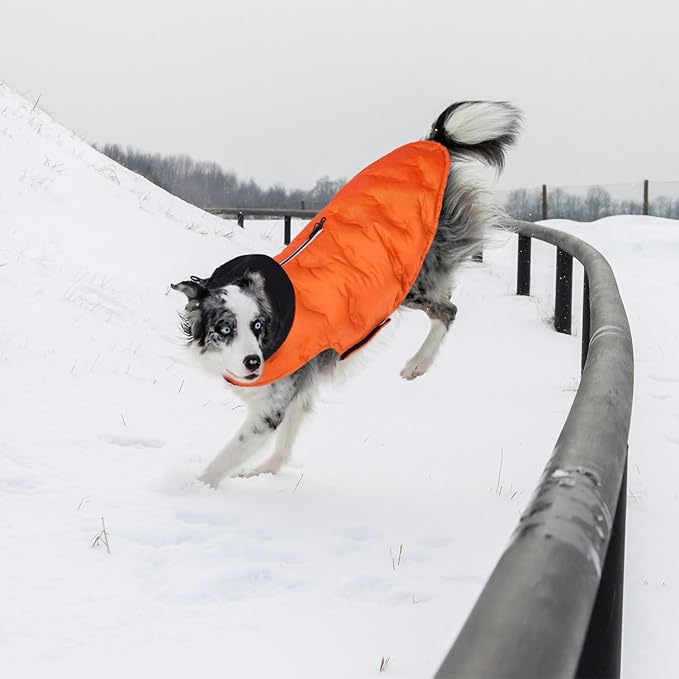 Nanaki Lightweight Dog Down Jacket With Leash Hole-Large Winter Dog Coat Reflective Stripes, Warm Snow Coat With Hood, Windproof Snowsuit For Cold Weather, Puffer Jacket For Outdoor Activities, Orange