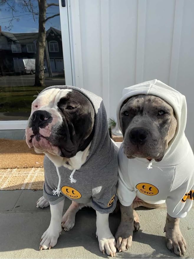 ChoChoCho Smiley Dog Hoodie Stylish Dog Clothes Smiley Face Sweater Cotton Sweatshirt Fashion Outfit for Dogs Cats Puppy Small Medium Large (L, Grey)