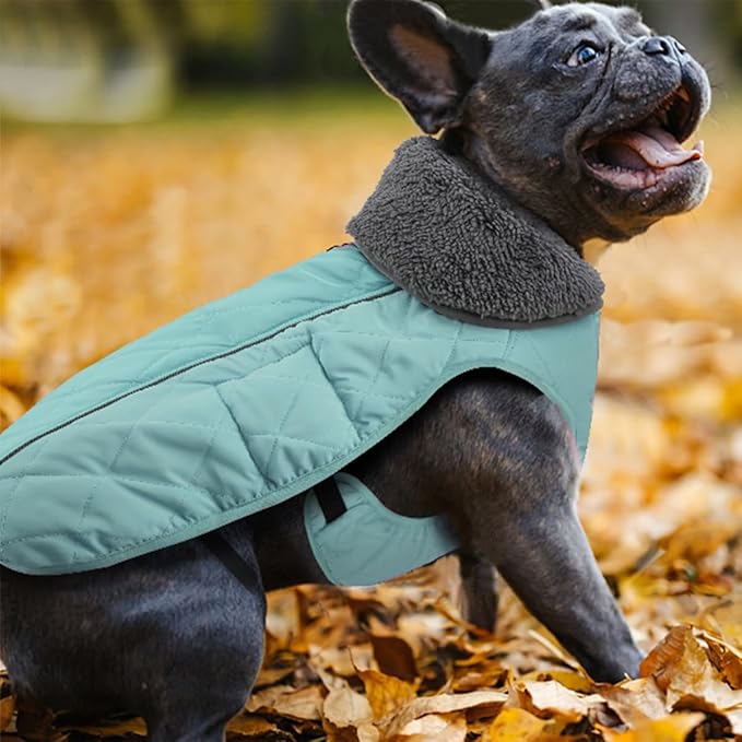 Doglay Dog Coat, Waterproof Dog Jacket Pet Winter Coat for Cold Weather with Thicken Furry Collar, Reflective Puppy Winter Jacket Warm Fleece Lining for Small Medium Large Pets