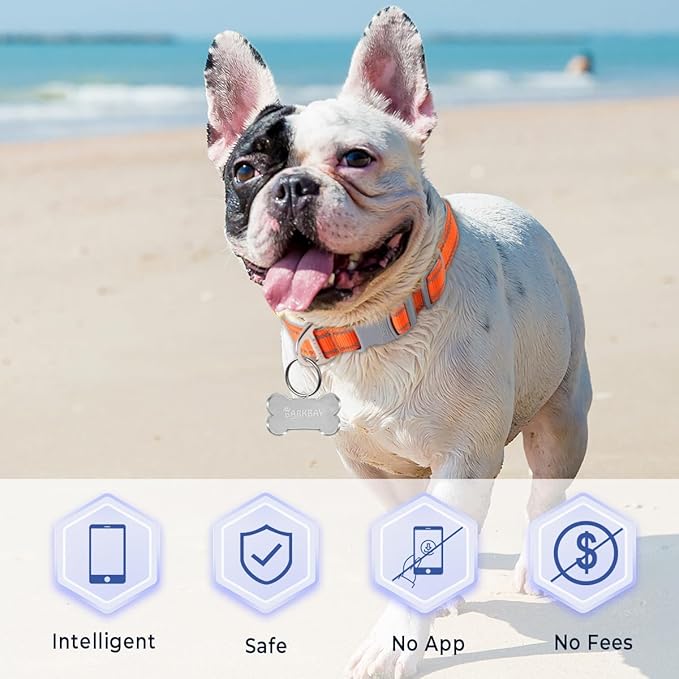 Dog Tags Personalized for Pets,Dog Name Tags QR Code,No Subscription Fees,Modifiable Pet Online Profile,Stainless Steel,No App Required,for Dogs and Cats Small,Medium,Large(Dog Bone,Regular)