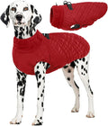Kuoser XXL Winter Coat | Giant Breed Armor for Mastiffs & Great Danes | Zippers Secure Dogs in -20°F, Reflective Panels for Mountain Hikes, Red XL