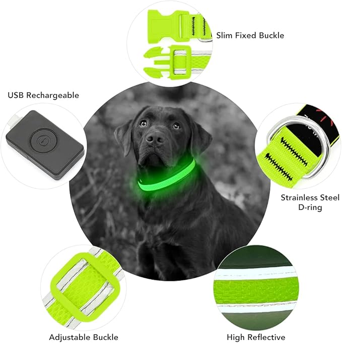 YFbrite Light up Dog Collar, USB Rechargeable LED Puppy Collar Super Bright Adjustable Glowing Dog Lights for Night Walking (Green, Medium)