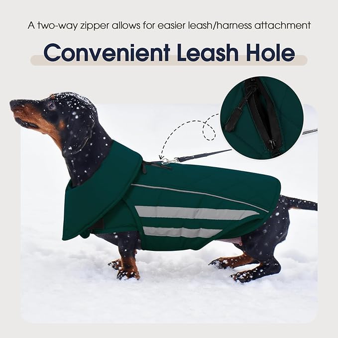 IECOii 5XL Waterproof Dog Jacket - Thermal Fleece Lining & Reflective Coats for Cold Weather, Adjustable Great Dane Winter Coat for Camping, Hiking, Green, Sizes XXXXXL
