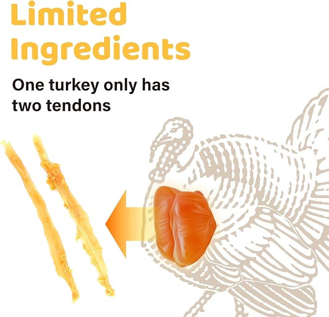 iPaw Turkey Tendons for Dogs 10 Pcs Value Pack, 100% Turkey and US Sourced Raw Material, Hypoallergenic, All Natural Human Grade Puppy Chew, Rawhide Alternative Dog Treats, Ring (Small)
