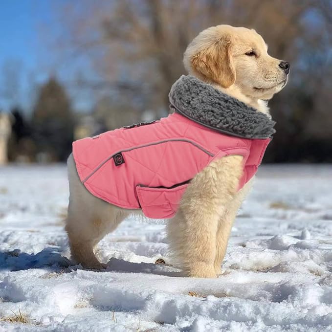 EMUST Thick Winter Dog Coat for Medium Boys with Harness Hole - Cold Weather Clothes, Pink, M