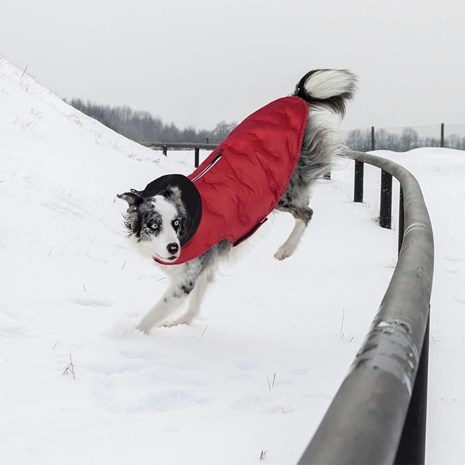 Nanaki Easy On Adjustable Pet Winter Coat Vest-Cold Weather XL Dog Coats with Hood, Warm Reflective Dog Puffer Vest Snowsuit for Pitbull, Soft Lightweight Puffer Coat for Outdoor Activities, Red