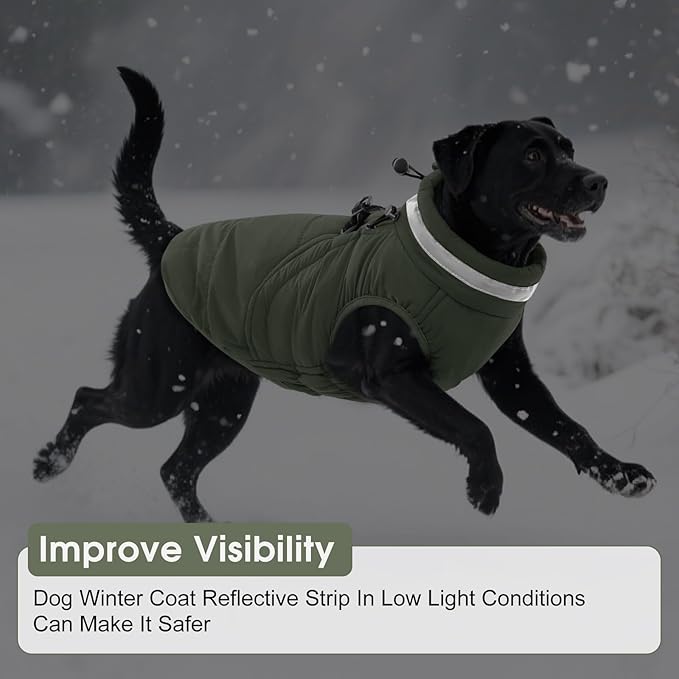 SAWMONG Dog Coat, Warm Dog Winter Coat, Waterproof Fleece Jacket, Cold Weather Dogs Jacket (S,Green)