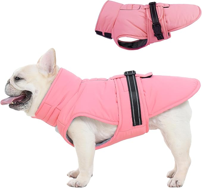 Medium Dog Coat, Warm Dog Winter Jacket, Waterproof Dogs Snowsuit with Foldable High Collar, Reflective Strips, Leash Hole, and Adjustable Hook & Loop Closure - Ideal for Cold Weather - Pink M