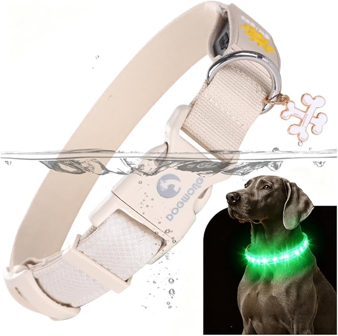 DOGWONG LED Dog Collar - Heavy Duty Light up Collars - Rechargeable Waterproof - Lighted Dog Collar for Night Walking, Hiking, Camping(White,M)