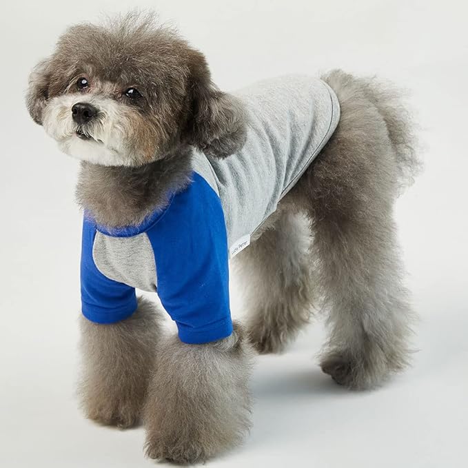 Dog Shirt for Small Dogs Cotton T-Shirt Soft Breathable Gray/Blue (Medium)