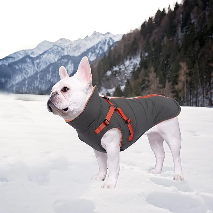 Geyecete Winter Warm Coat Waterproof Dog Winter Jacket with Harness Traction Belt,Windproof Pet Outdoor Jacket Dog Autumn-Gray-S