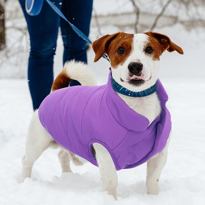 ASENKU Dog Winter Coat - Waterproof Windproof Dog Jacket, Warm Snowproof Doggie Puffer Vest for Cold Weather, Lightweight Snow Coats for Small Medium Large Dogs (Purple, 2XL)
