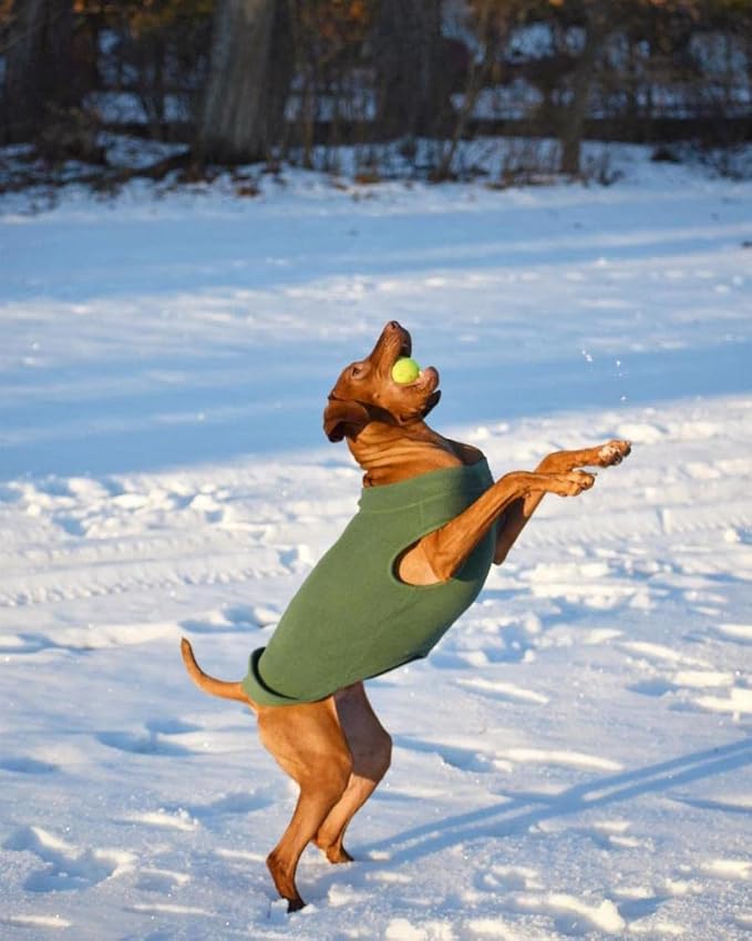 Gooby - Stretch Fleece Vest, Pullover Fleece Vest Jacket Sweater for Dogs, Gray, 4X-Large Length (21")